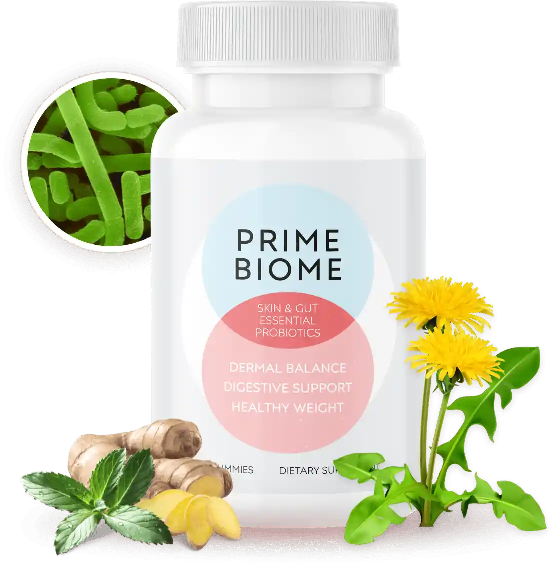 PrimeBiome Supplement Formula Banner