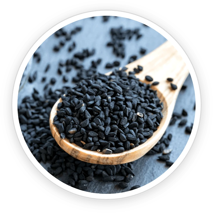 PrimeBiome Ingredient Babchi (Psoralea Corylifolia)